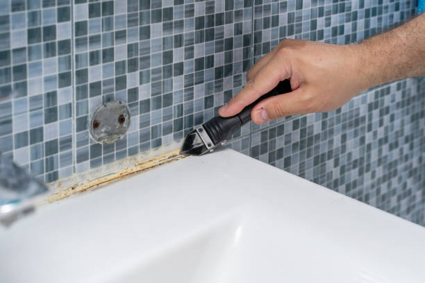 Best Best Mold Removal Companies  in White Mountain Lake, AZ